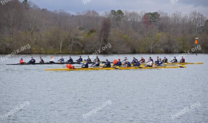 Scull Rowing Clinch River Tennessee Sport Mens