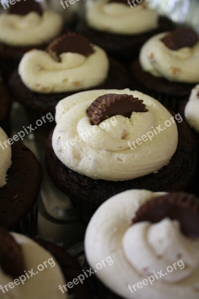 Cupcakes Chocolate Dessert Food Birthday