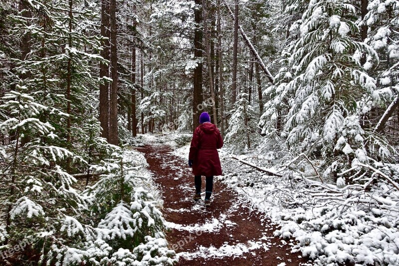 Trekking Winter Walking Female Forest