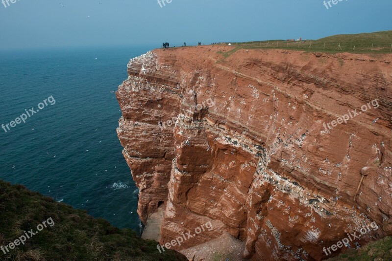 Helgoland Cliffs Sea Island Nature North Sea