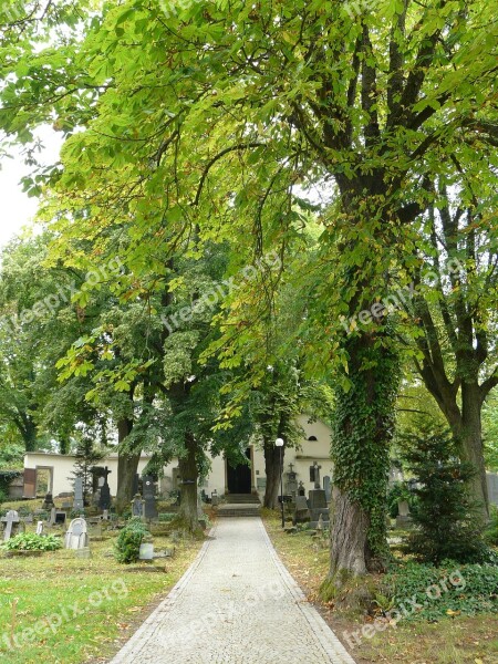 Cemetery Sights Trees Free Photos