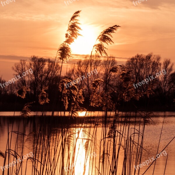 Sunset Romantic Grasses Water Dusk