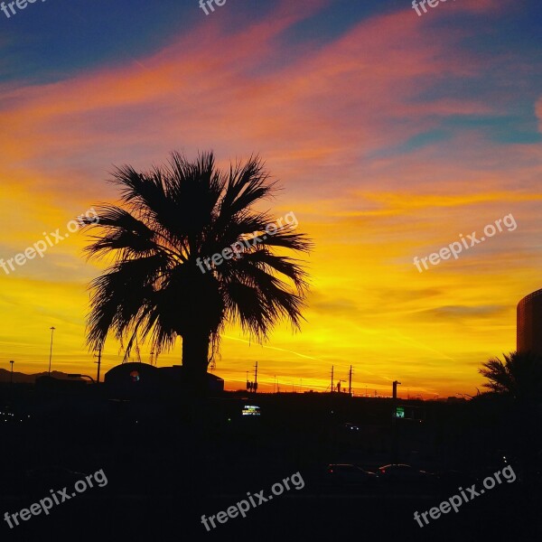 Sunset Arizona Palmtree Nature Sky