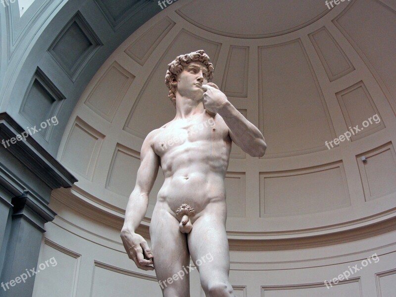 David Miguel Angel Florence Museum Sculpture