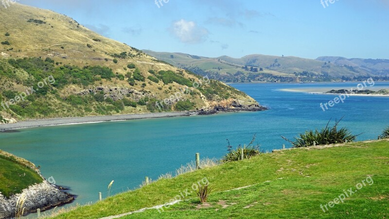 Otago Bay Water Sea Rock