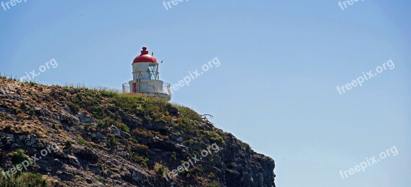 Lighthouse Otago New Zealand Rock South Island