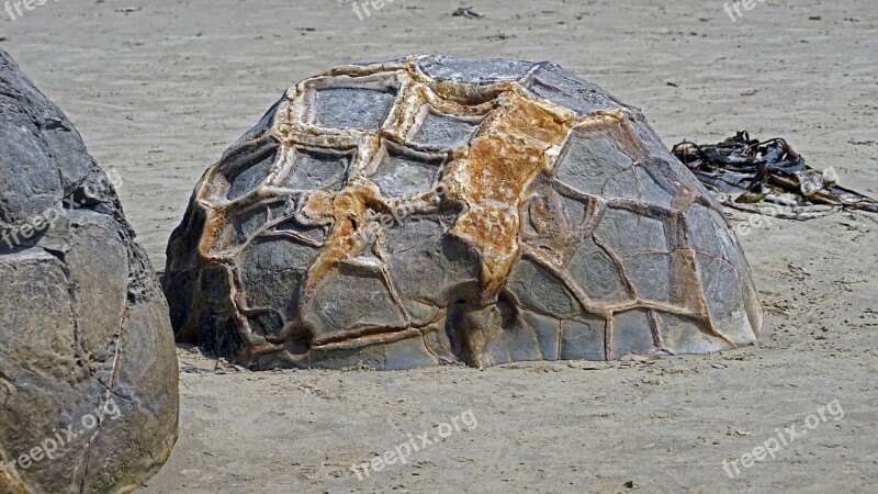 Moeraki Boulders New Zealand Huge Balls Moeraki Rock