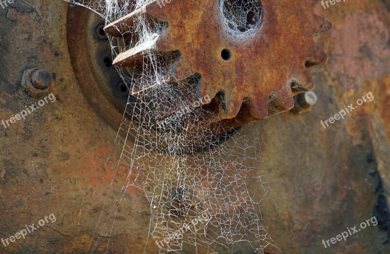 Cobweb Spider Webs Rust Gear Web