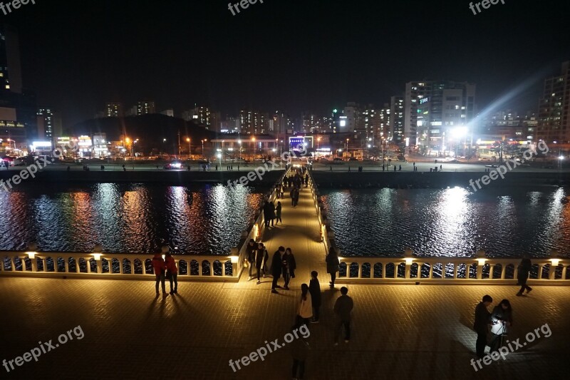 Pohang Night View Landscape Night City