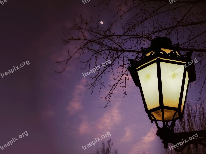 Street Lamp Night Moon Landscape Lighting