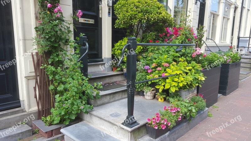 Amsterdam House Entrance Flowers Front Door Input Range