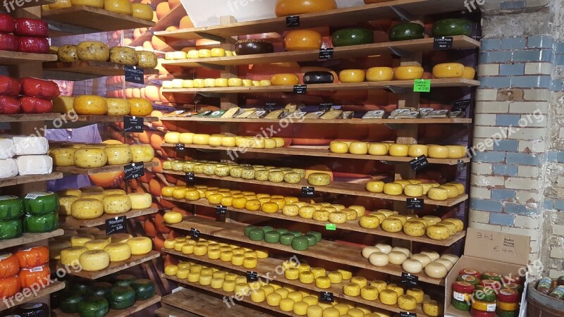 Cheese Amsterdam Cheese Dairy Food Free Photos