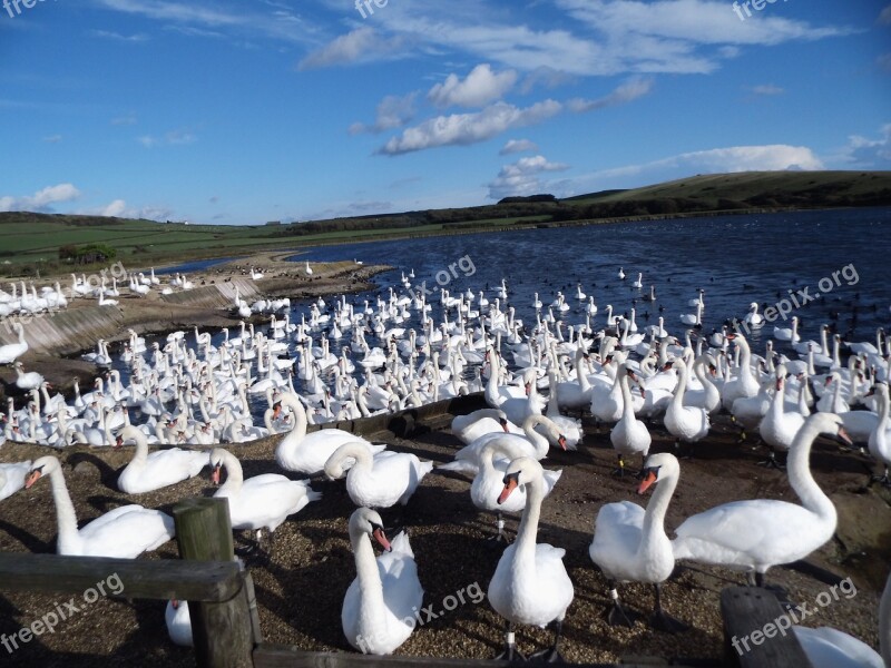 South Gland Dorset Lyme Regis Uk England