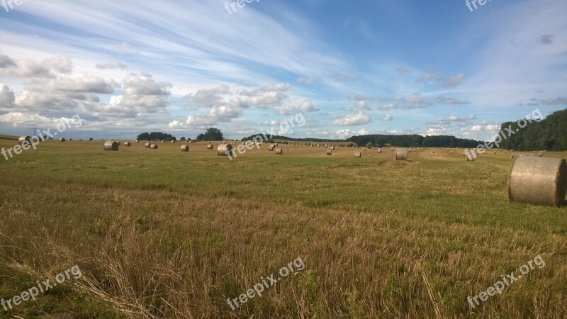 Usedom Benz Straw Summer Free Photos