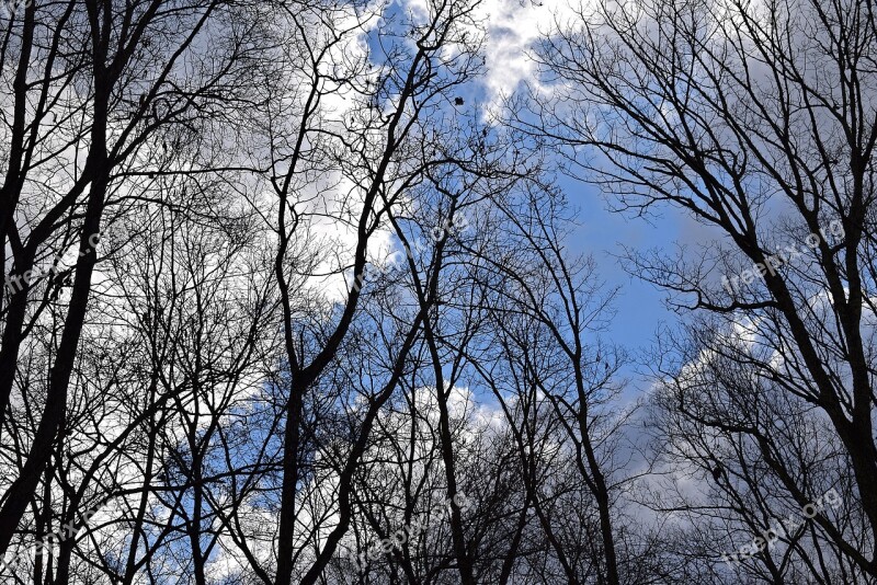 Fluffy Clouds Blue Sky Clouds Landscape Nature