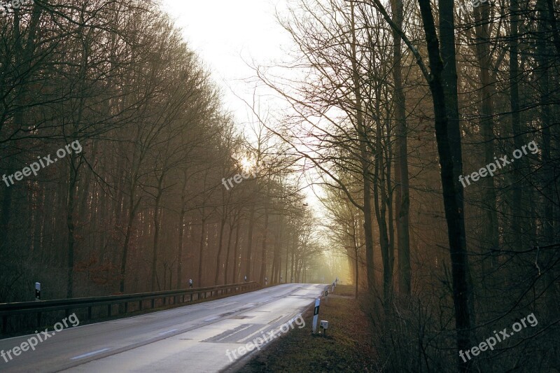 Road Away Landscape Asphalt Nature