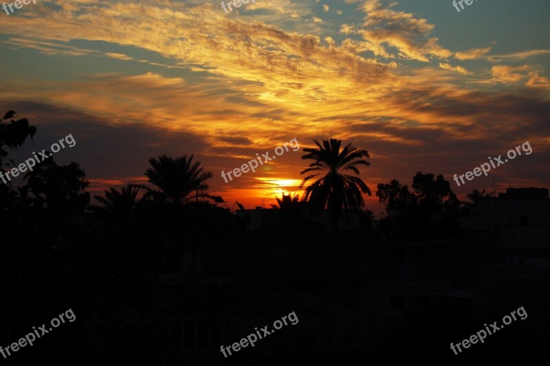 Sunset Palm Trees Skyline Silhouettes Free Photos