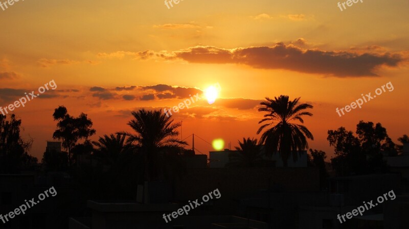 Sunset Baghdad Palm Trees Iraq Silhouette