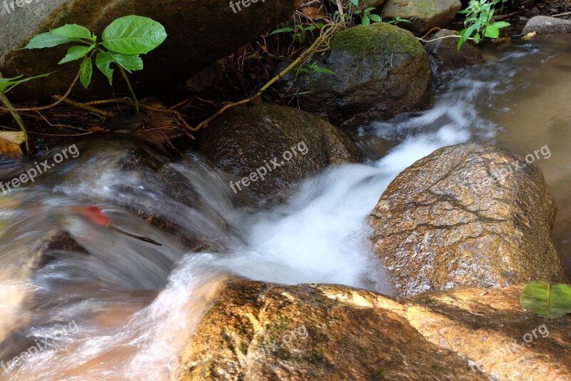 Nature Thailand Waterfall The Forests Free Photos