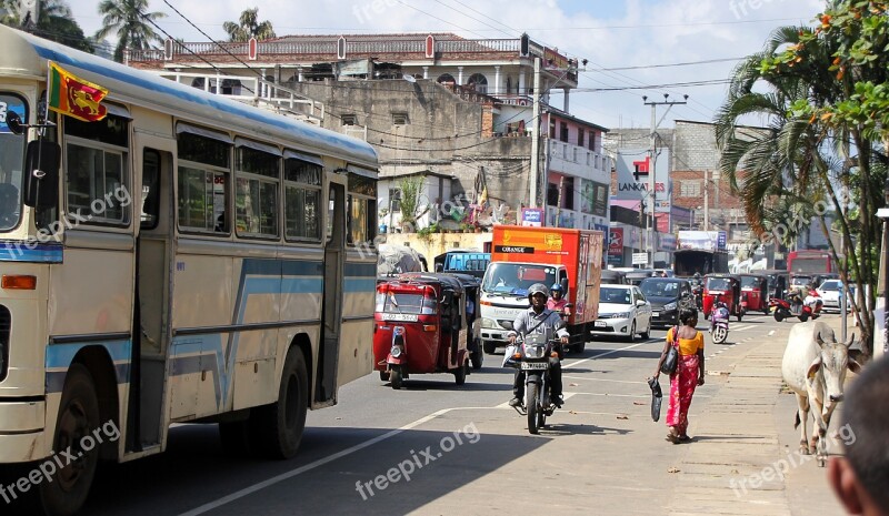 Sri Lanka Road Human Traffic Tuk Tuk