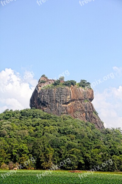 Lion Rock Sri Lanka Vacations Tourists Nature