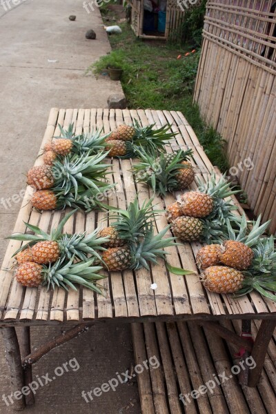 Pineapple Fruits Table Young Pineapple Fruit