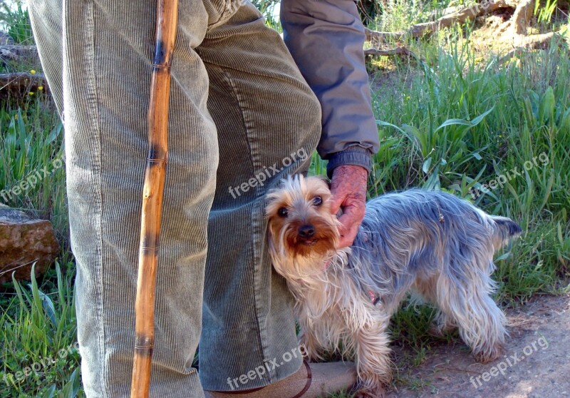 Man Elder Dog Love Person