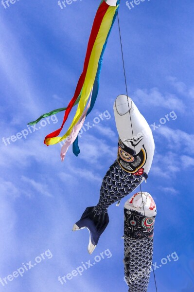 Carp Streamer Streamers May Japan Festival