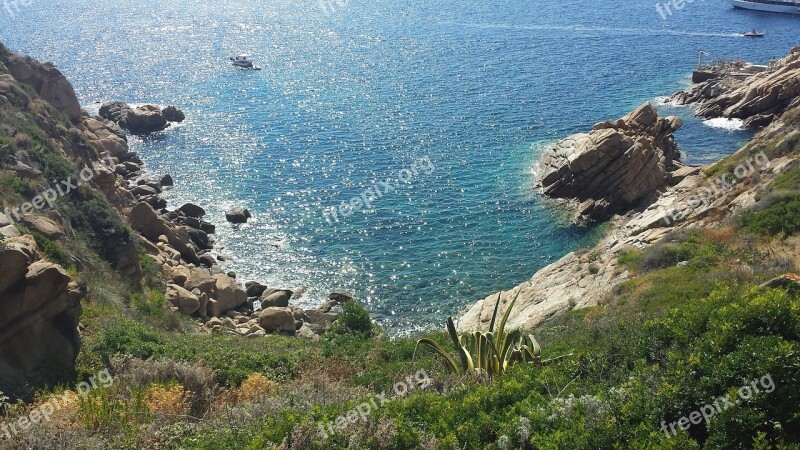 Island Lily Tuscany Summer Sea Sun