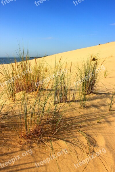 Pyla Dune Dune Sea Blue Beach