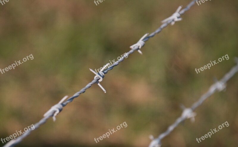 Barbed Wire Dangerous Pointed Fence Demarcation