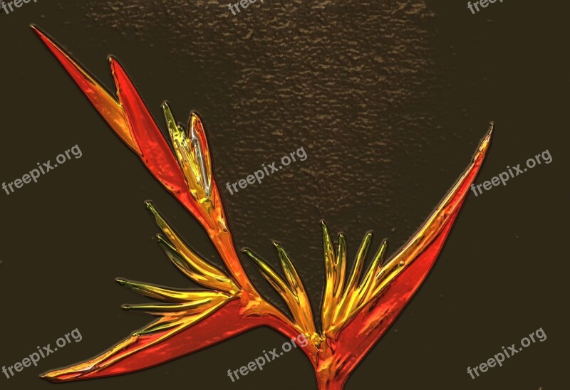 Strelitzia Flower Flower Metallic Orange Yellow