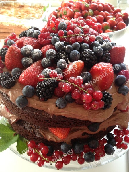 Chocolate Cake Pastry Red Currant Blueberries Chocolate