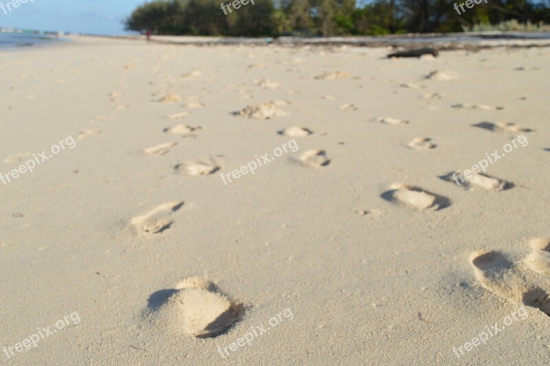 Footsteps Sand Beach Shore Print