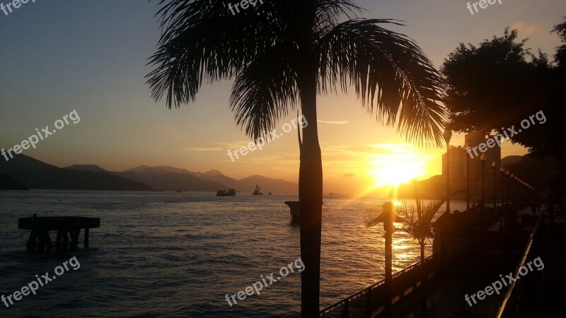 Sunset Sundown Sea Beach Palm Tree Free Photos