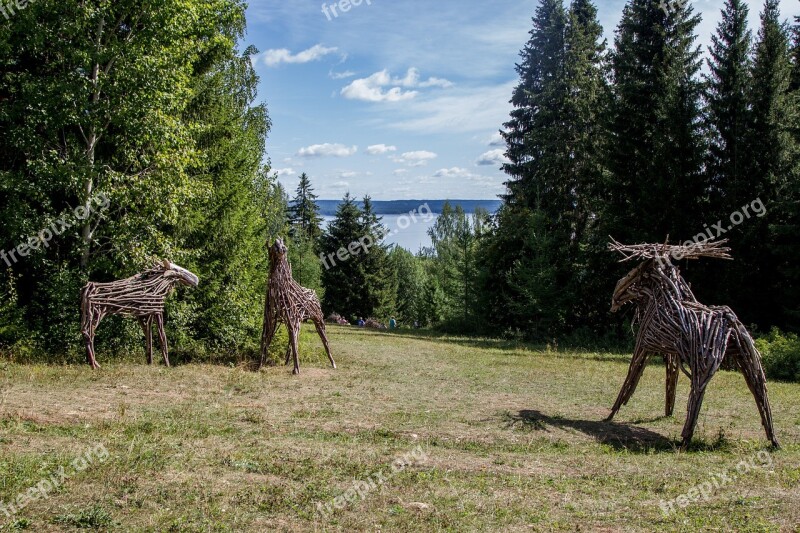 Wood Deer Nature Forest Summer Deer