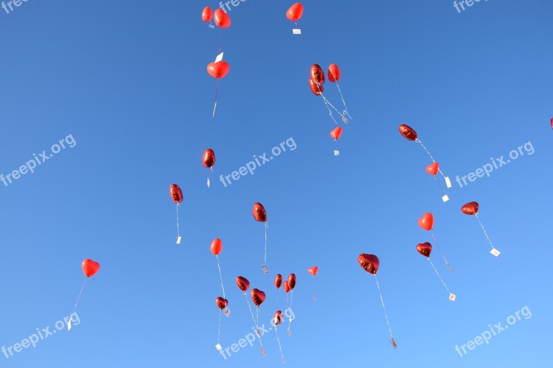 Balloons Sky Blue Balloon Flap Away