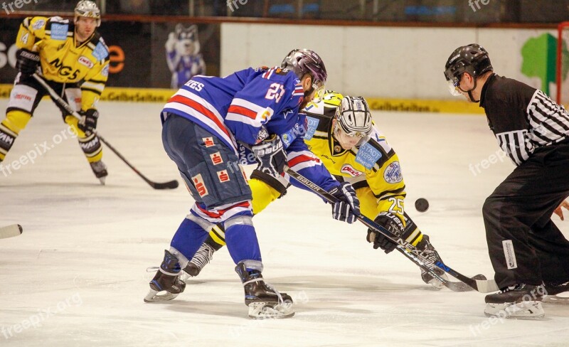 Ice Hockey Kassel Huskies Ice Stadium Kassel Bully