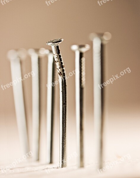 Nail Nails Metallstifte Nail Head Metal Nail