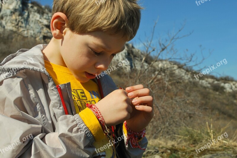 Boy Ladybug Observe Learning Nature