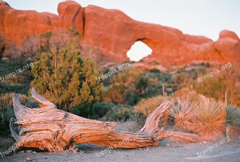 Landscape Nature Scenic Log Wilderness