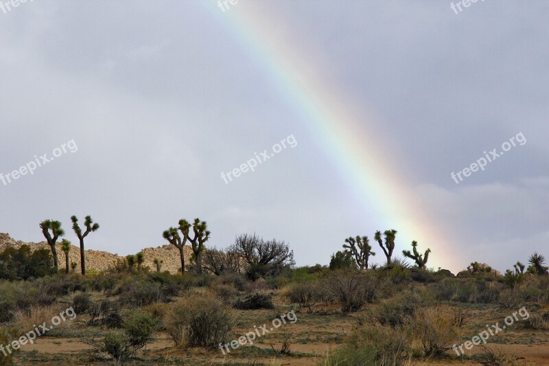 Landscape Rainbow Scenic Cactus Joshua Tree National Park