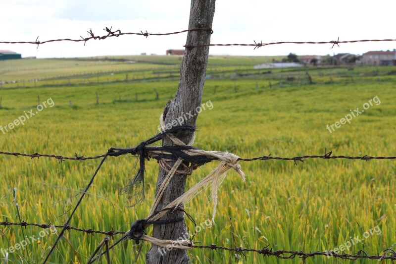 Field Gate Castilla Free Photos