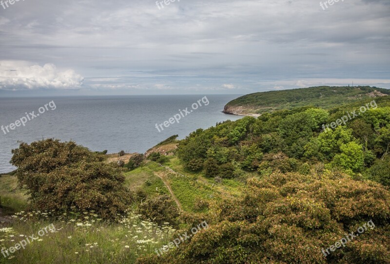 Sea Bornholm Beach Denmark Forest