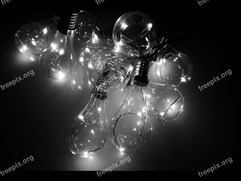 Black White Bulbs Led Light Electricity