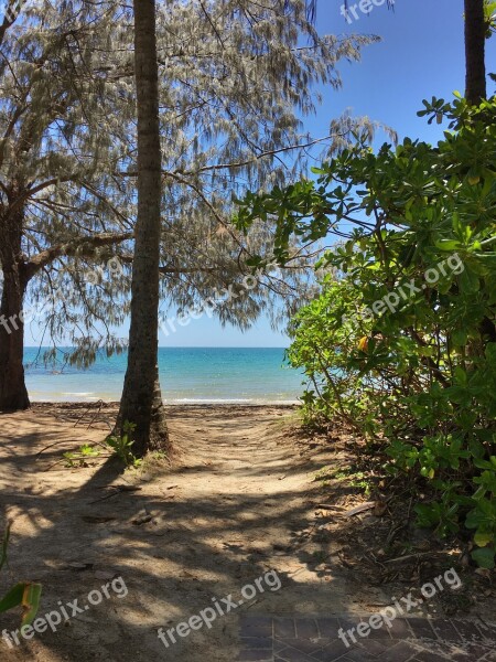 Tree Beach Secluded Holiday Seascape