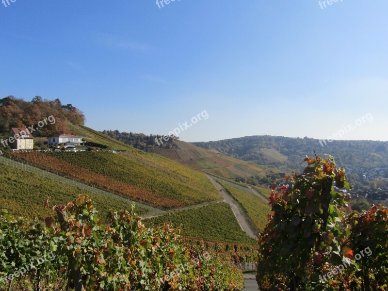 Vineyard Landscape Panorama Fields Loza