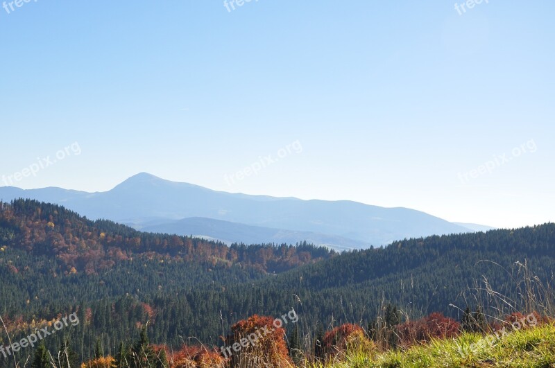 Mountains Autumn Forest Field The Carpathians