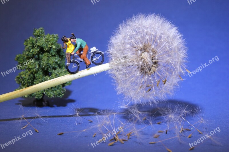 Dandelion Cycling Miniature Figures Rendezvous Lovers