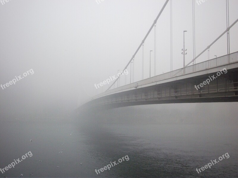 Bridge Danube White Winter Will